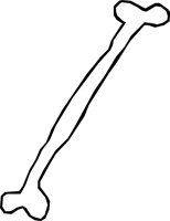 BONE_11.WMF