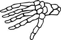 BONE_09.WMF
