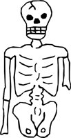 BONE_08.WMF