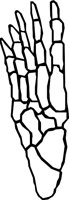 BONE_07.WMF