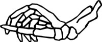 BONE_06.WMF