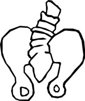 BONE_05.WMF