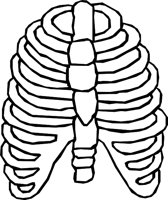 BONE_03.WMF
