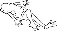 BODY_02.WMF