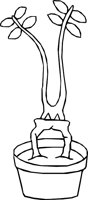 UP_ROOT.WMF