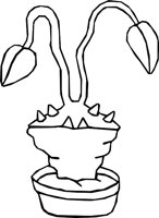 TWO_LEAF.WMF