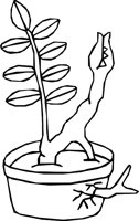 LEAFROOT.WMF