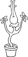 GLUPROOT.WMF