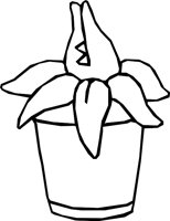 FERNBYTE.WMF