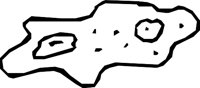 GERMS_15.WMF