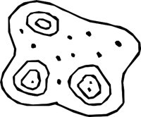 GERMS_08.WMF