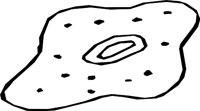 GERMS_03.WMF