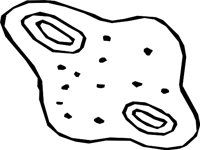 GERMS_02.WMF