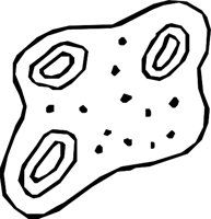 GERMS_01.WMF