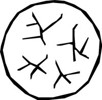PLANET20.WMF