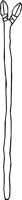 SPEAR_01.WMF
