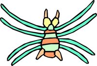 SPIDERIZ.WMF