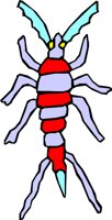 CRAWLETE.WMF
