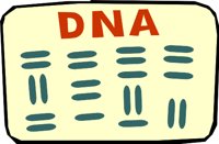 D_N_A.WMF