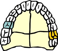 TEETH_11.WMF