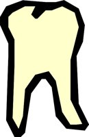 TEETH_07.WMF
