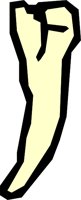 TEETH_03.WMF