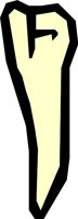 TEETH_02.WMF