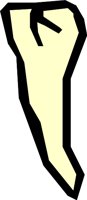 TEETH_01.WMF