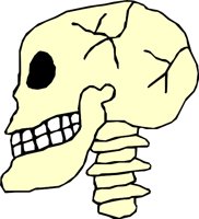 SKULL_27.WMF