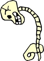 SKULL_17.WMF