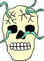 SKULL_13.WMF