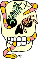 SKULL_01.WMF