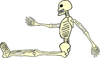 SKELTN16.WMF