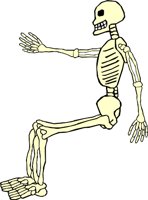 SKELTN12.WMF