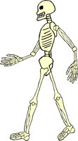 SKELTN10.WMF