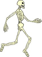SKELTN09.WMF