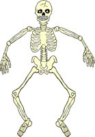 SKELTN07.WMF