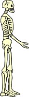 SKELTN03.WMF