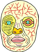 HEAD_11.WMF