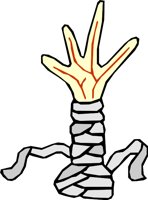 HAND_34.WMF