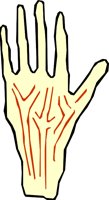 HAND_13.WMF