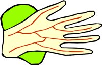 HAND_09.WMF