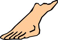 FOOT_01.WMF