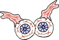 EYE_03.WMF