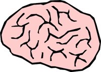 BRAIN_03.WMF