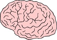 BRAIN_02.WMF