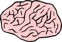 BRAIN_01.WMF