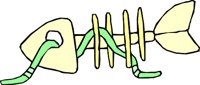 BONE_45.WMF