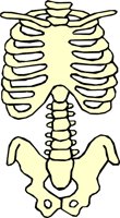 BONE_39.WMF