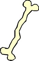 BONE_38.WMF
